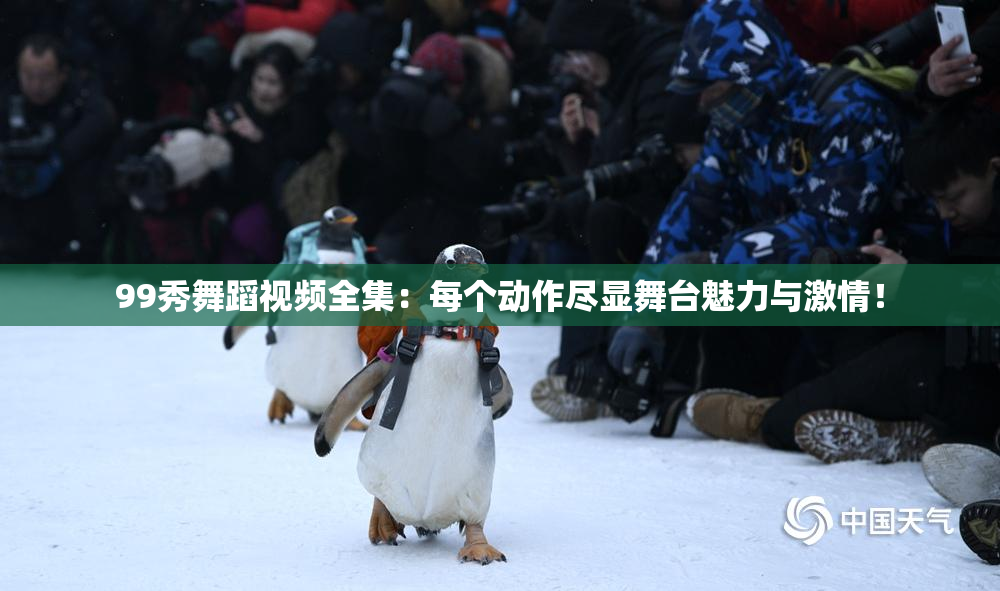 99秀舞蹈视频全集：每个动作尽显舞台魅力与激情！