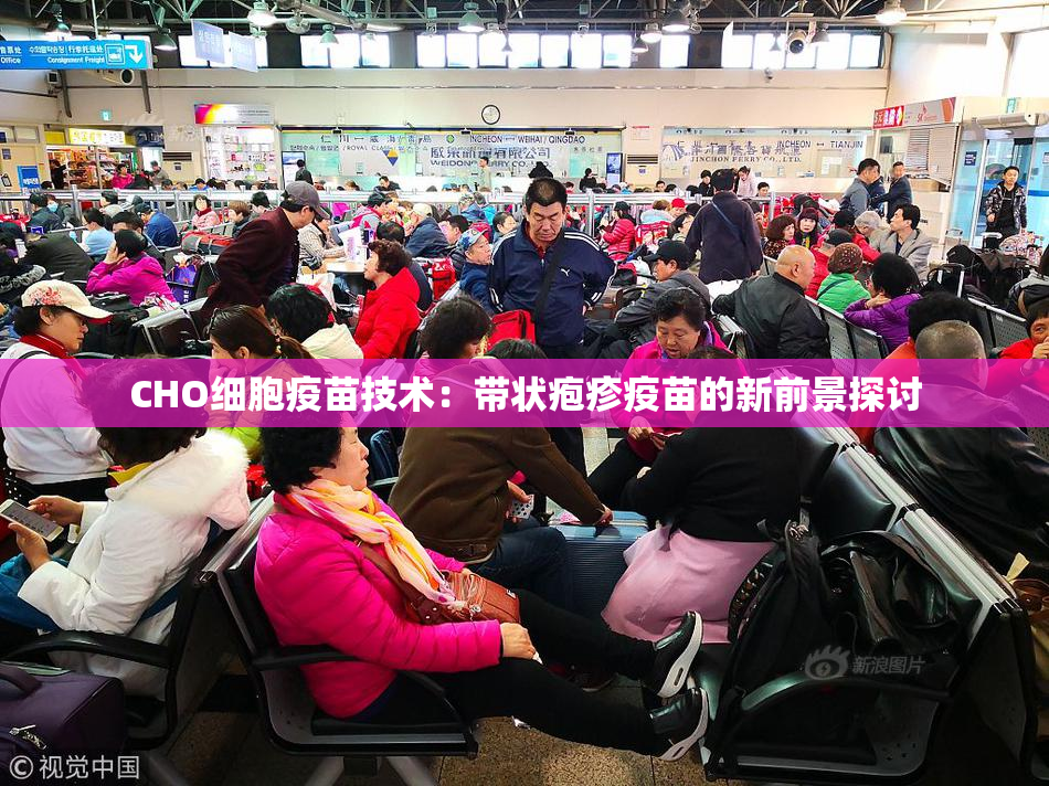 CHO细胞疫苗技术：带状疱疹疫苗的新前景探讨