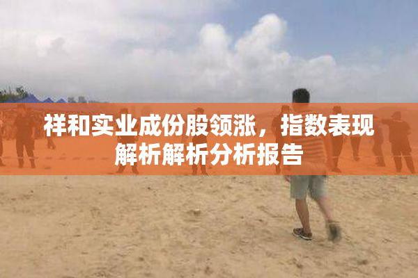 祥和实业成份股领涨，指数表现解析解析分析报告
