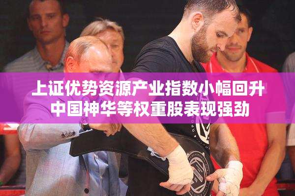 上证优势资源产业指数小幅回升 中国神华等权重股表现强劲