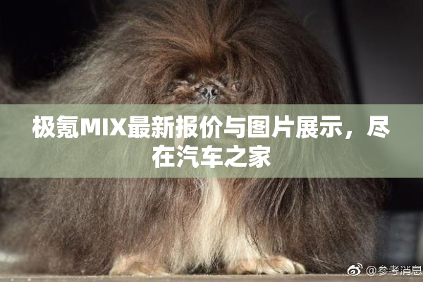 极氪MIX最新报价与图片展示，尽在汽车之家