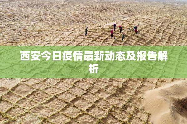 西安今日疫情最新动态及报告解析