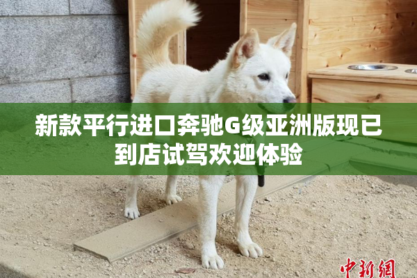 新款平行进口奔驰G级亚洲版现已到店试驾欢迎体验