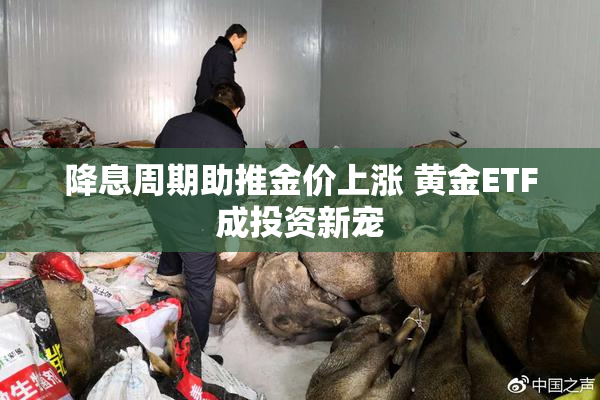 降息周期助推金价上涨 黄金ETF成投资新宠