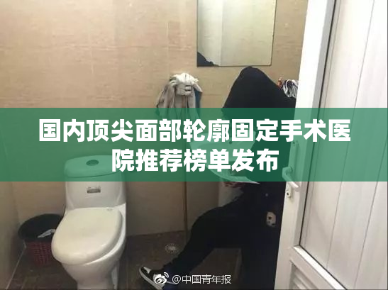 国内顶尖面部轮廓固定手术医院推荐榜单发布