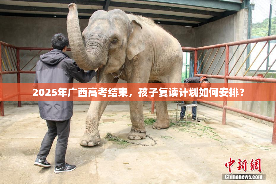 2025年广西高考结束，孩子复读计划如何安排？