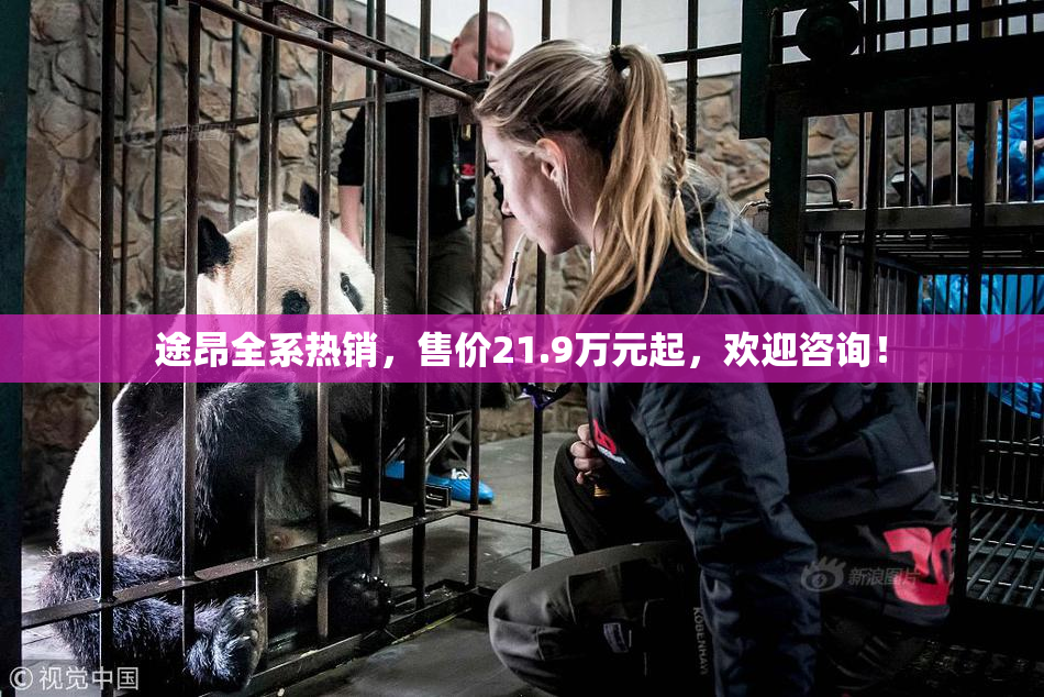 途昂全系热销，售价21.9万元起，欢迎咨询！