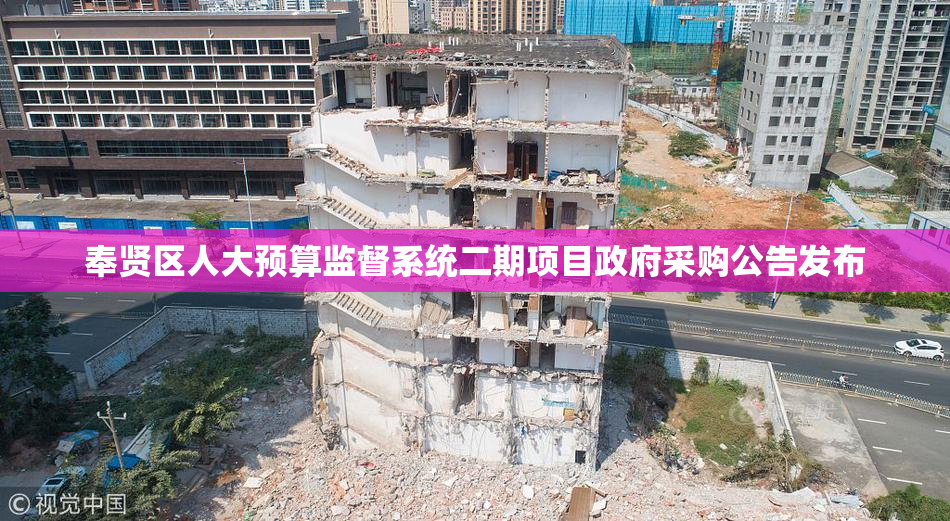奉贤区人大预算监督系统二期项目政府采购公告发布