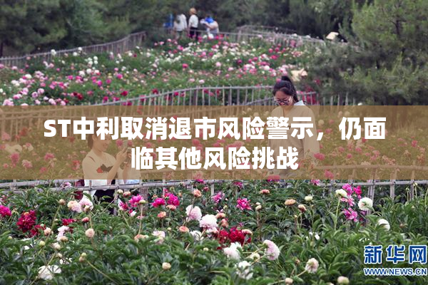 ST中利取消退市风险警示，仍面临其他风险挑战