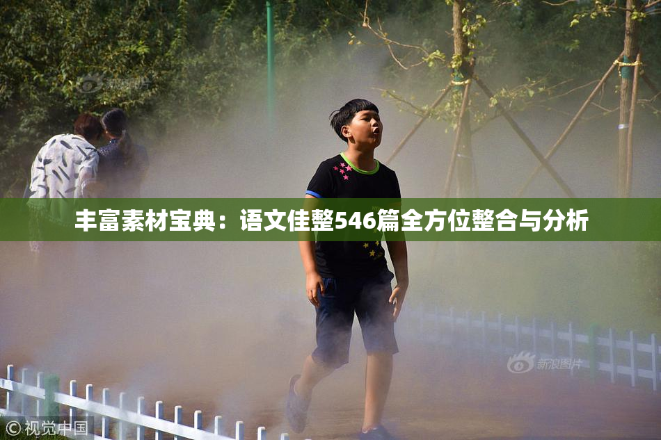丰富素材宝典：语文佳整546篇全方位整合与分析