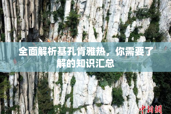 全面解析基孔肯雅热，你需要了解的知识汇总