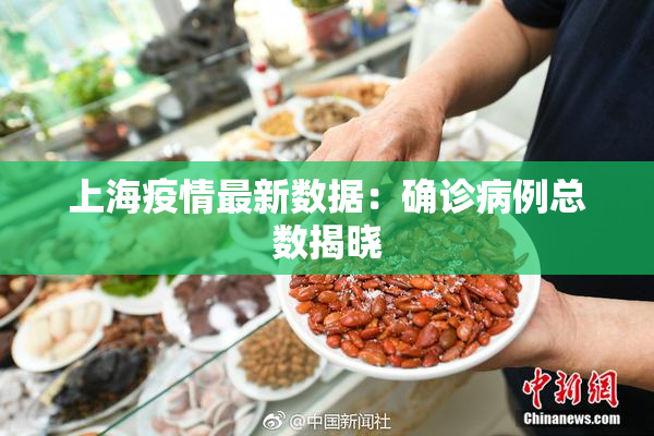 上海疫情最新数据：确诊病例总数揭晓