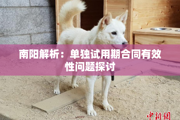 南阳解析：单独试用期合同有效性问题探讨