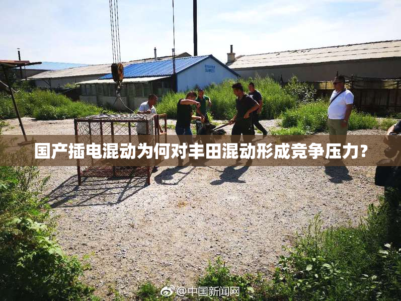 国产插电混动为何对丰田混动形成竞争压力？