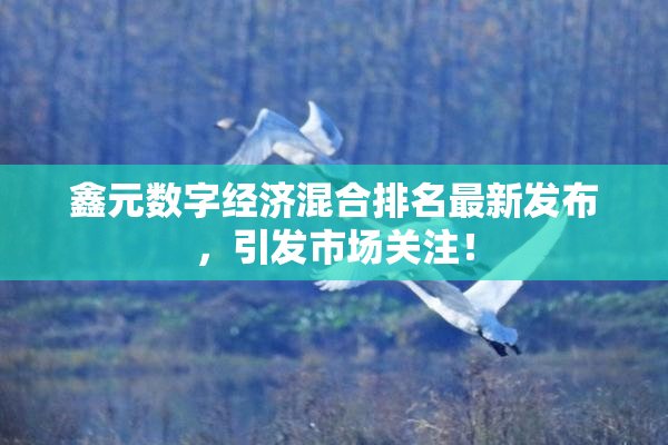 鑫元数字经济混合排名最新发布，引发市场关注！