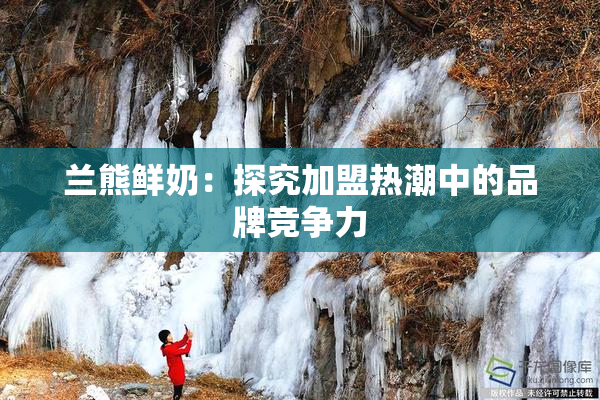 兰熊鲜奶：探究加盟热潮中的品牌竞争力