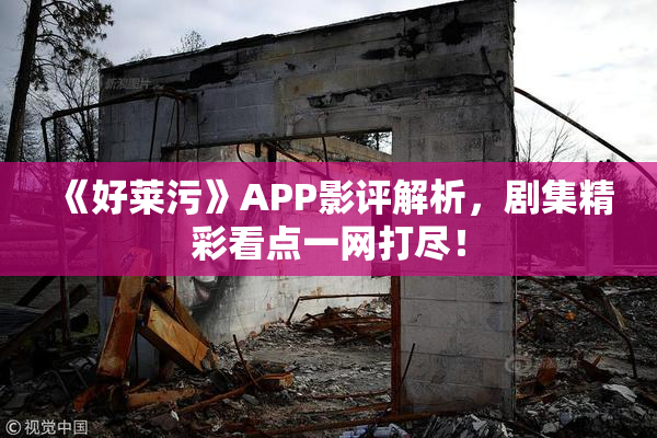 《好莱污》APP影评解析，剧集精彩看点一网打尽！