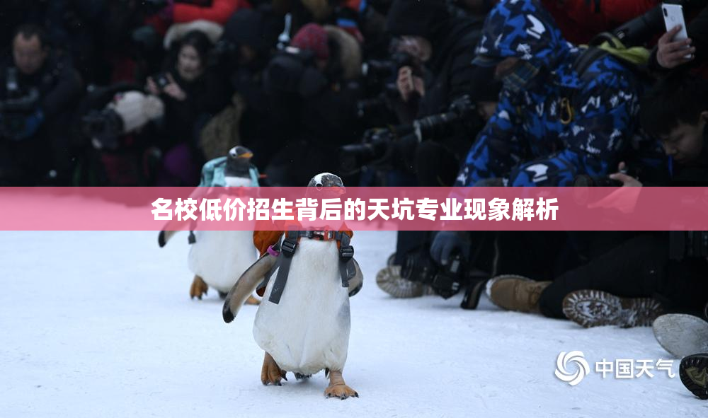 名校低价招生背后的天坑专业现象解析