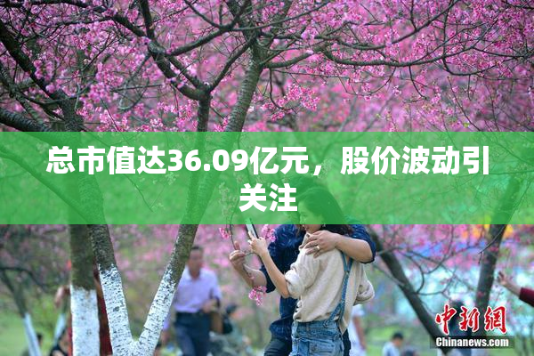 总市值达36.09亿元，股价波动引关注
