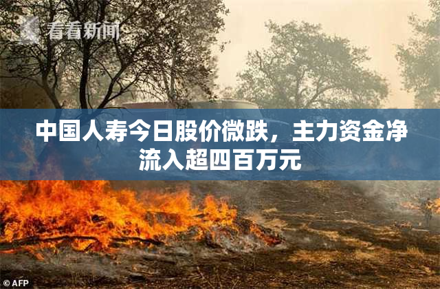 中国人寿今日股价微跌，主力资金净流入超四百万元