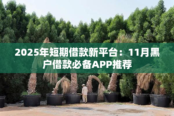 2025年短期借款新平台：11月黑户借款必备APP推荐