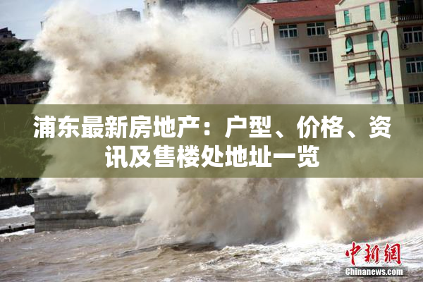 浦东最新房地产：户型、价格、资讯及售楼处地址一览