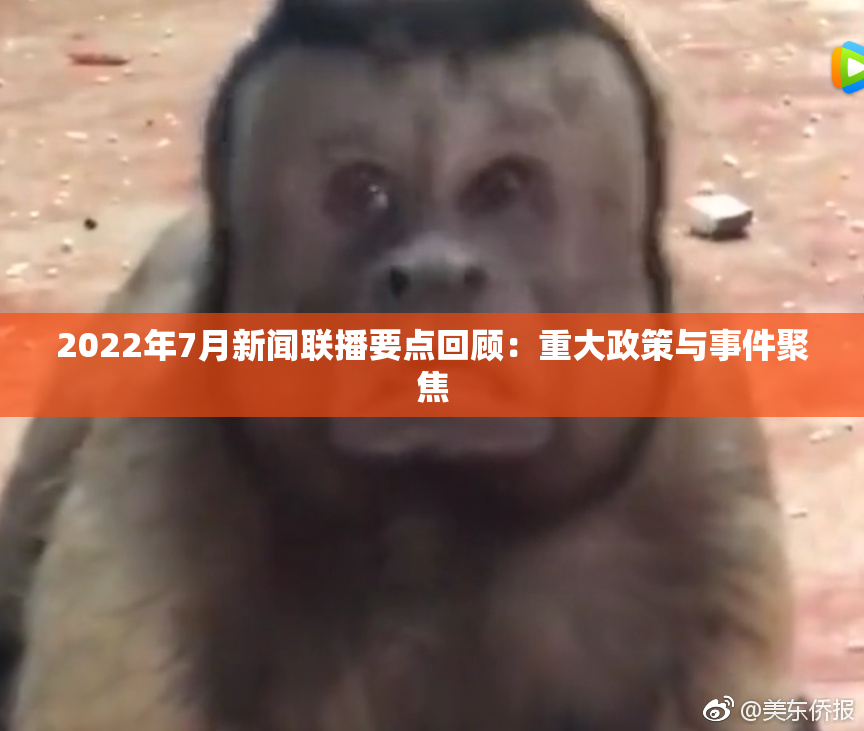 2022年7月新闻联播要点回顾：重大政策与事件聚焦