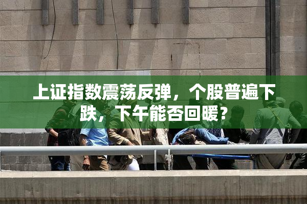 上证指数震荡反弹，个股普遍下跌，下午能否回暖？
