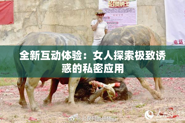 全新互动体验：女人探索极致诱惑的私密应用