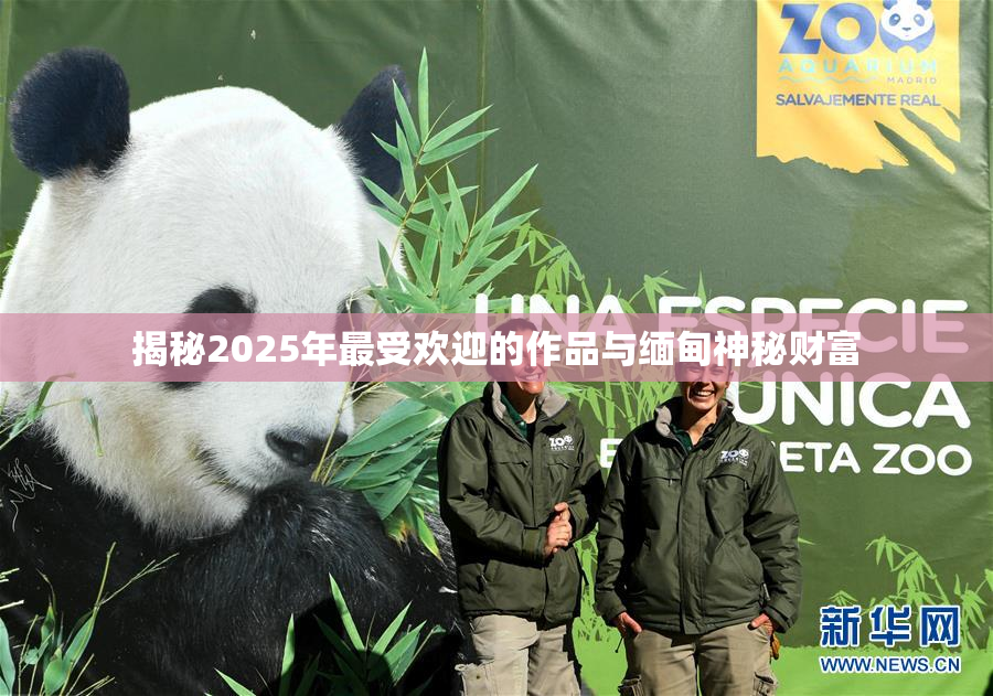 揭秘2025年最受欢迎的作品与缅甸神秘财富
