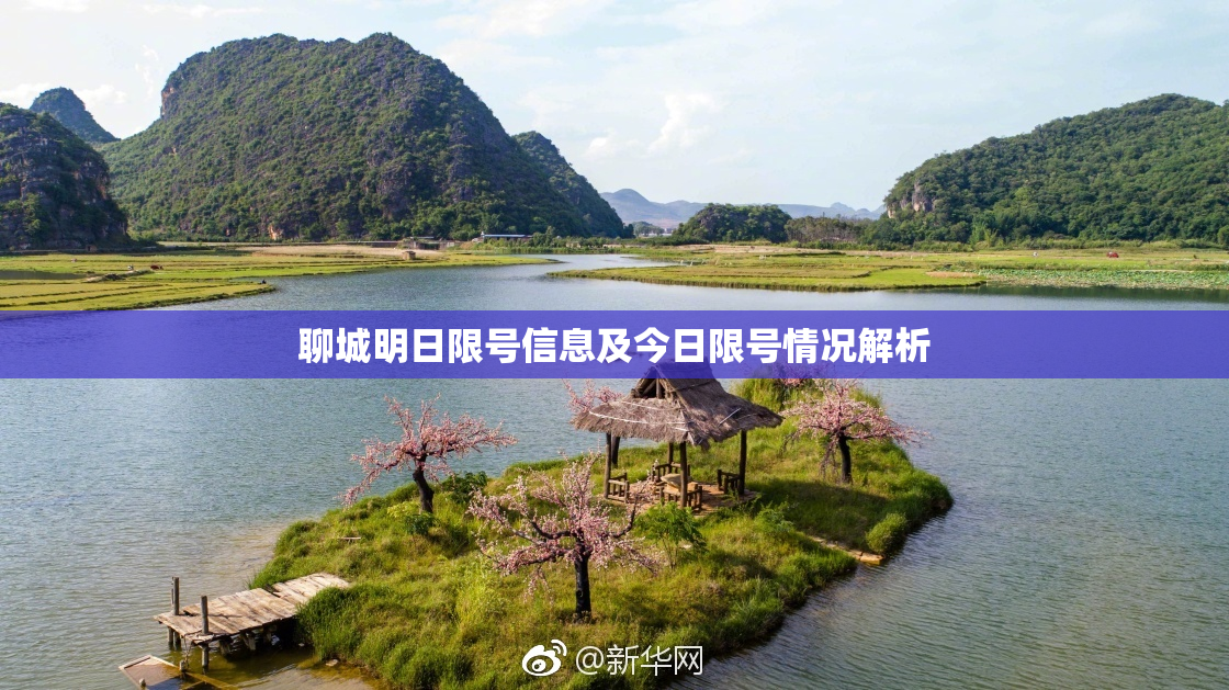 聊城明日限号信息及今日限号情况解析