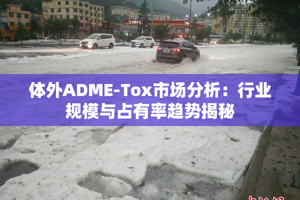 体外ADME-Tox市场分析：行业规模与占有率趋势揭秘