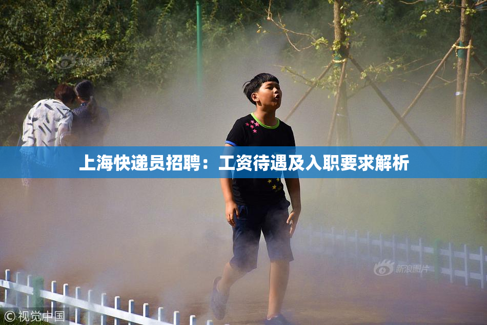 上海快递员招聘：工资待遇及入职要求解析