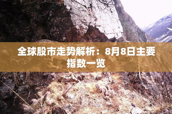 全球股市走势解析：8月8日主要指数一览