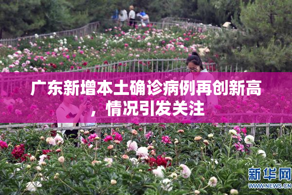 广东新增本土确诊病例再创新高，情况引发关注