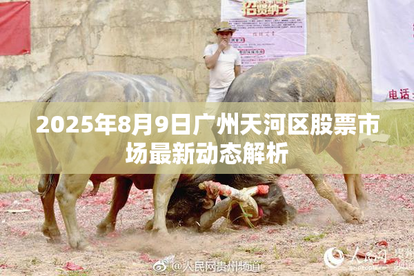 2025年8月9日广州天河区股票市场最新动态解析