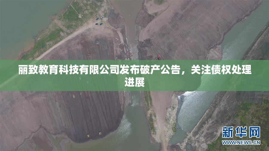 丽致教育科技有限公司发布破产公告，关注债权处理进展