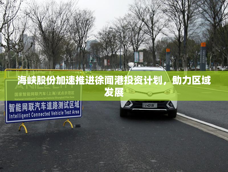 海峡股份加速推进徐闻港投资计划，助力区域发展