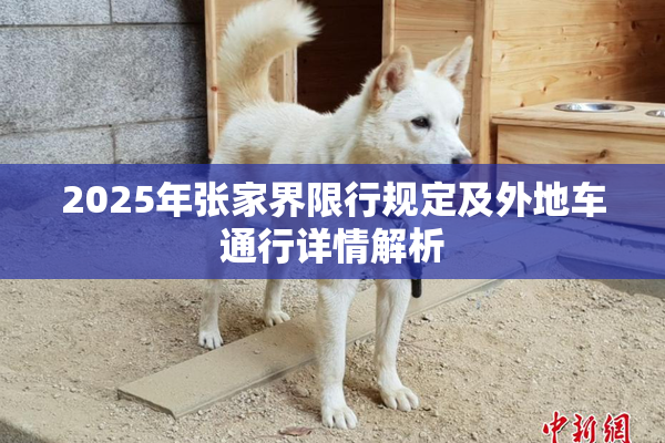 2025年张家界限行规定及外地车通行详情解析