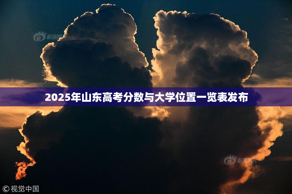 2025年山东高考分数与大学位置一览表发布