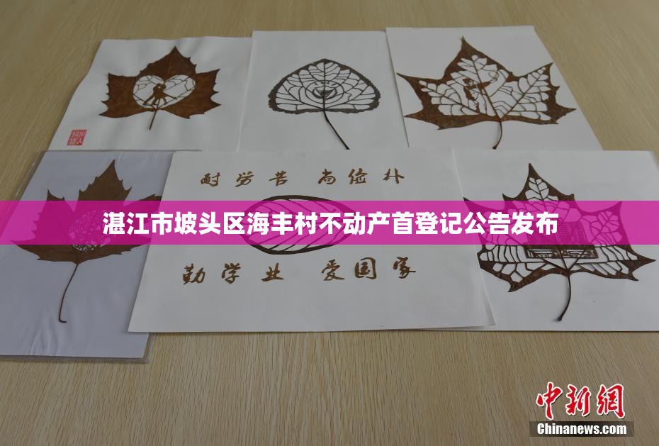 湛江市坡头区海丰村不动产首登记公告发布