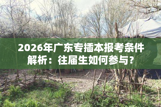 2026年广东专插本报考条件解析：往届生如何参与？