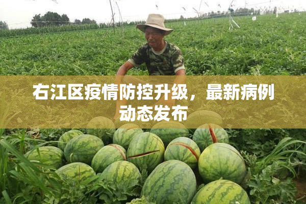 右江区疫情防控升级，最新病例动态发布