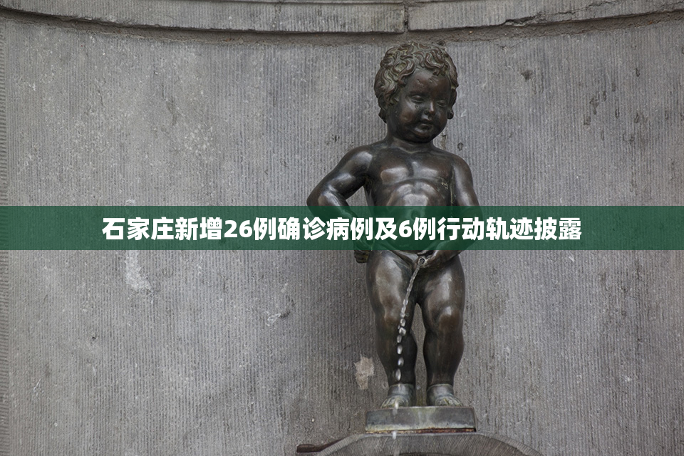 石家庄新增26例确诊病例及6例行动轨迹披露