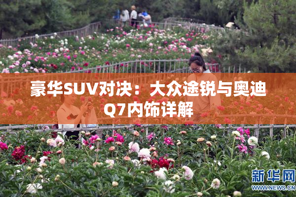 豪华SUV对决：大众途锐与奥迪Q7内饰详解