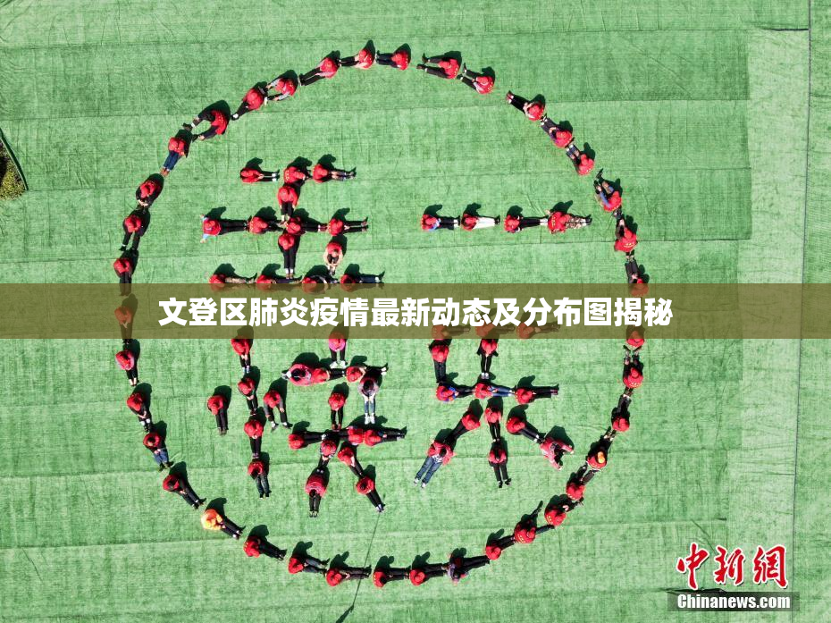 文登区肺炎疫情最新动态及分布图揭秘