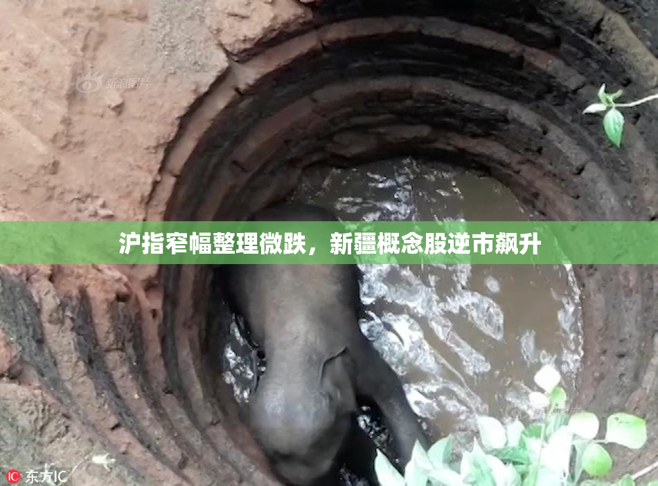 沪指窄幅整理微跌，新疆概念股逆市飙升