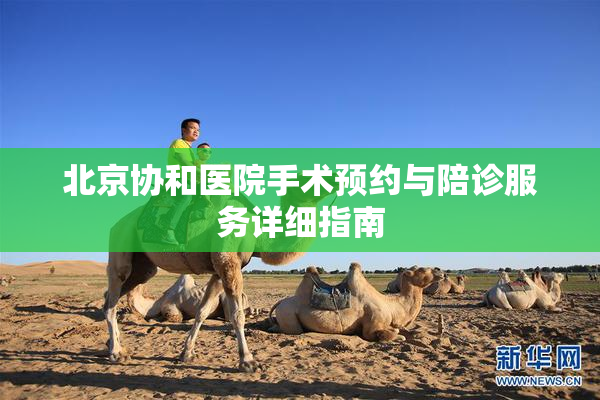 北京协和医院手术预约与陪诊服务详细指南
