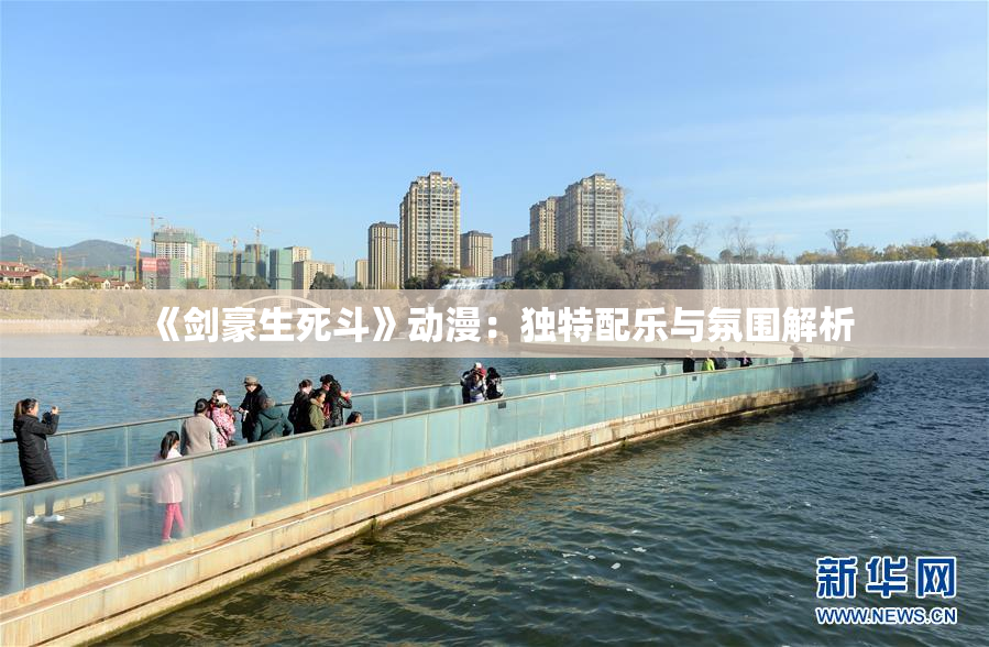 《剑豪生死斗》动漫：独特配乐与氛围解析