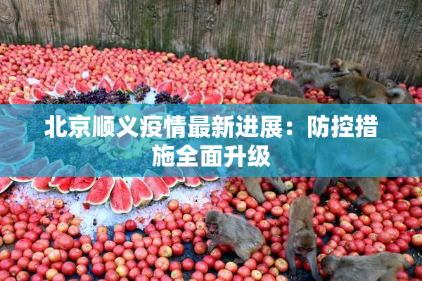 北京顺义疫情最新进展：防控措施全面升级